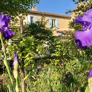  Bed & Breakfast Le Petit Cochon France